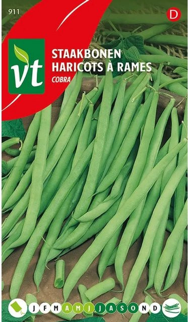 Arborix Stangenbohne Cobra Saatgut für lange Hülsen, 40 g - Bild 1