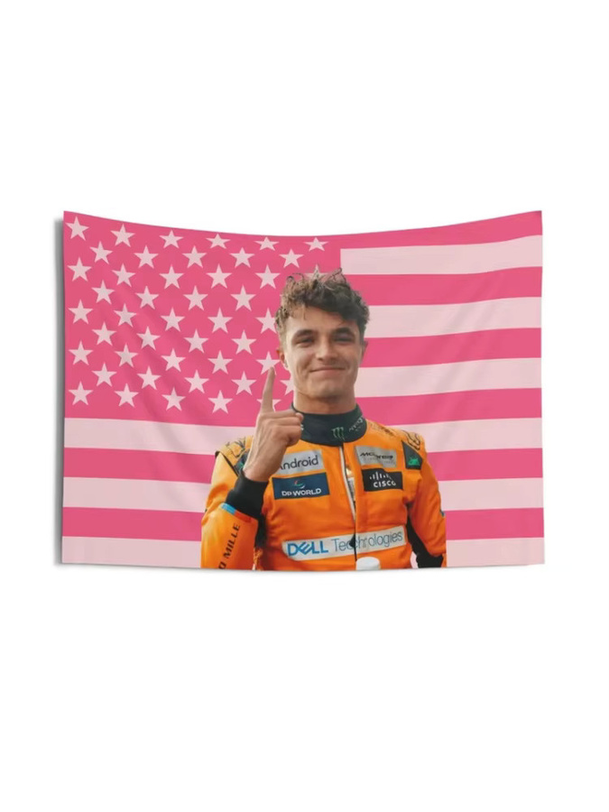VIKAMA Lando Norris Wandteppich mit amerikanischer Flagge in Rosa, F1-Rennfan Wandkunst für Schlafzimmer und Studentenwohnheim, B/H: 60 x 40 cm - Bild 2