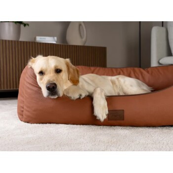 TrendPet Runa Hundesofa aus Kunstleder in Braun, Größe L - Bild 3