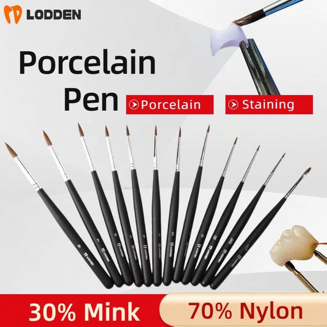 LODDEN 12er Set Dental Porzellan Stifte und Harz Pinsel in Schwarz für das Dental Labor - Bild 1