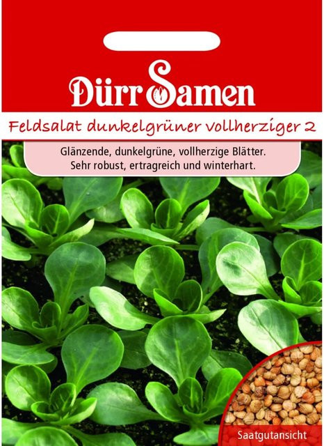 Dürr Feldsalat Dunkelgrüner Vollherziger Saatgut 4 g - Bild 1