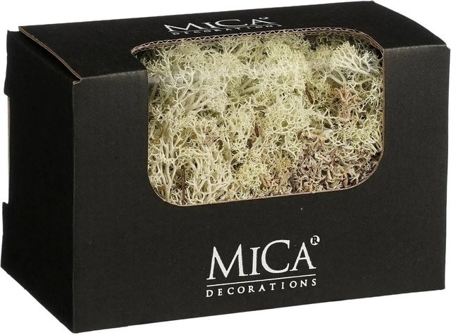 Mica Decorations Rentiermoos in Creme und Beige, rustikal, B/T/H: 14,5 x 8 x 9,5 cm - Bild 1