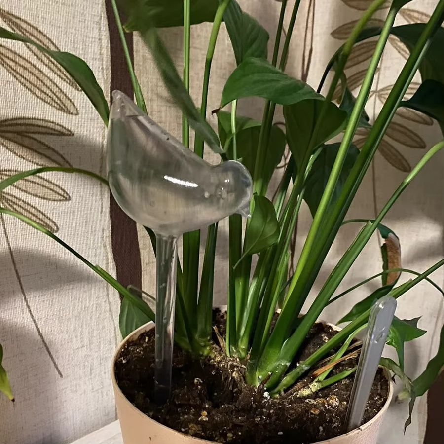 Andralyn Automatisches Blumenbewässerungsgerät aus Glasimitat in Transparent - Bild 4