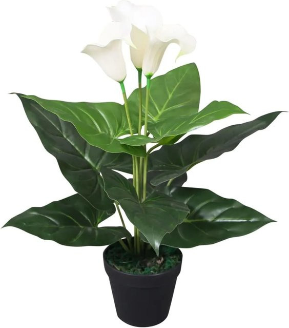 furnicato Künstliche Calla-Lilie in Weiß mit Topf, Höhe: 45 cm - Bild 1