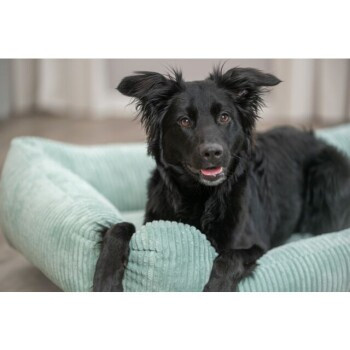 Trixie Vital Hundebett Jonna Sofa grün B/T/H: 60 x 24 x 60 cm - Bild 2