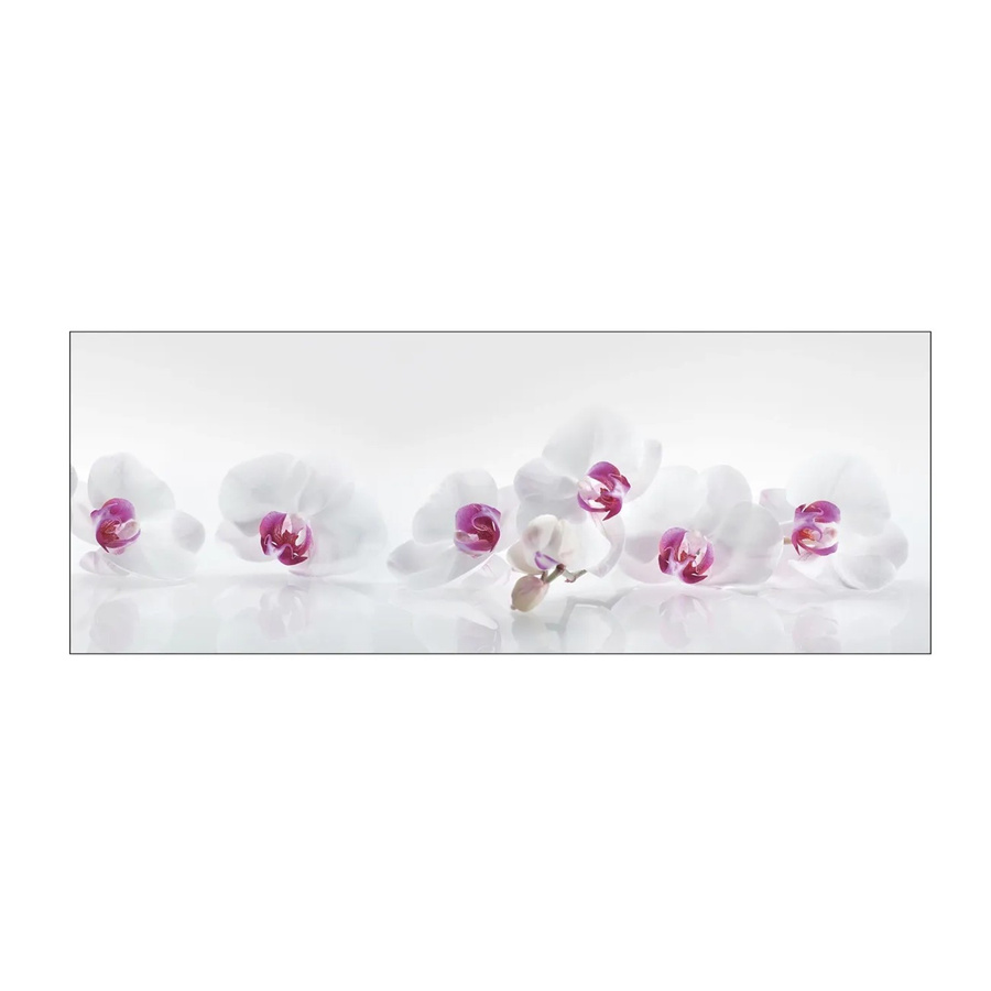 MySpotti Küchenrückwand Profix Cucina Orchidee in Lila-Weiß B: 160 cm, H: 60 cm - Bild 1