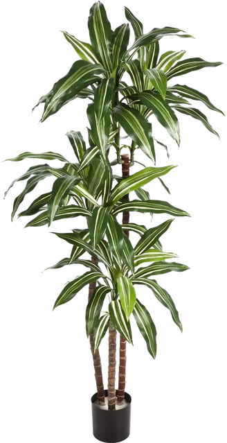 Künstlicher Drachenbaum Nico von Aplanta, Höhe: 150 cm - Bild 1