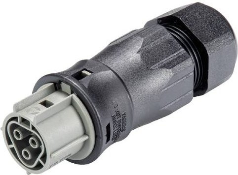 Wieland Electric 96.031.4554.3 Steckverbinder - Bild 1