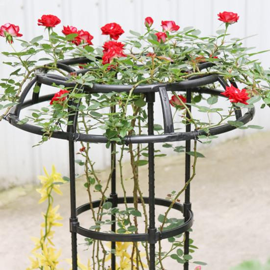 NexGoods Gartenlaube im Pilzkopf-Design als Pflanzenständer und Spalier für Kletterpflanzen, Weiß - Bild 6