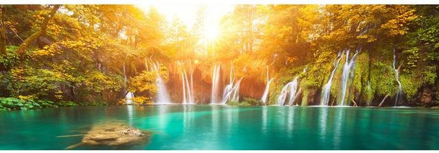 Aidegou2 Leinwand Wandbild Herbst Natur Landschaft mit grünem Baum, B: 60 cm, H: 120 cm - Bild 1
