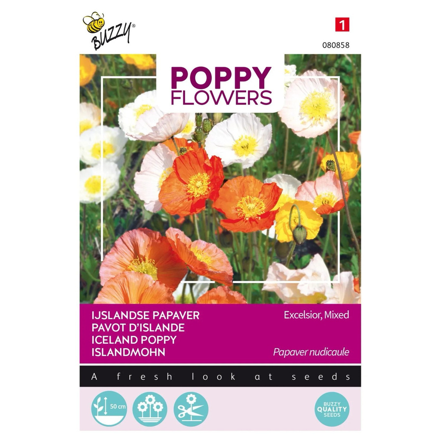 Arborix Islandmohn Buzzy Poppy Samen für große Blüten, 0,5 g - Bild 2