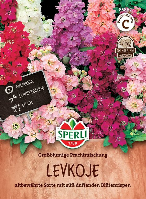 SPERLI Levkojen-Samen Großblumige Prachtmischung bunt - Bild 1