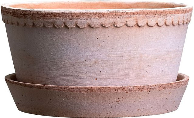 Bergs Potter Blumentopf The Helena Raw Pot mit Untersetzer in Rose aus Keramik und Terrakotta - Bild 1