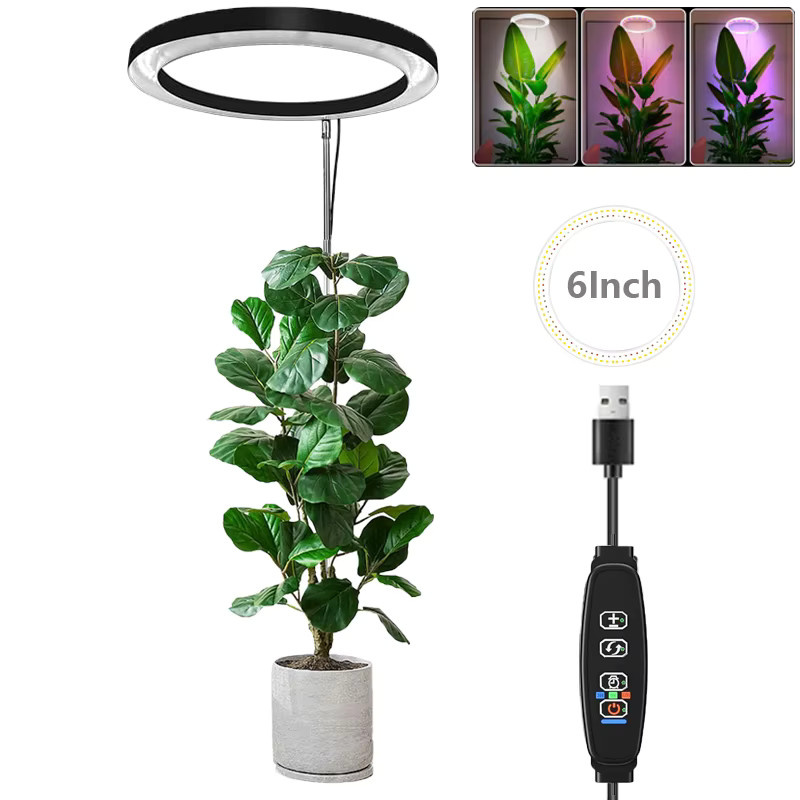 Aesyzo LED Pflanzenwachstumslicht mit Vollspektrum RGBWW, höhenverstellbar und automatischem Timer, Schwarz - Bild 6