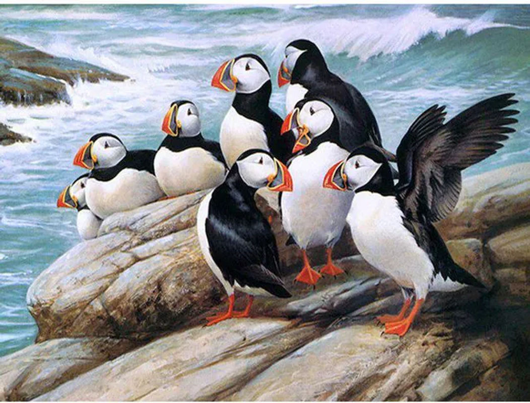 FIYO Diamond Painting Set Ente als DIY Mosaik-Stickerei in Mehrfarbig, B/H: 20 x 30 cm - Bild 1