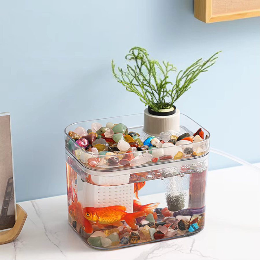 TWISTER.CK Aquarium Fischzuchtbox mit USB-Luftpumpe, transparent - Bild 2