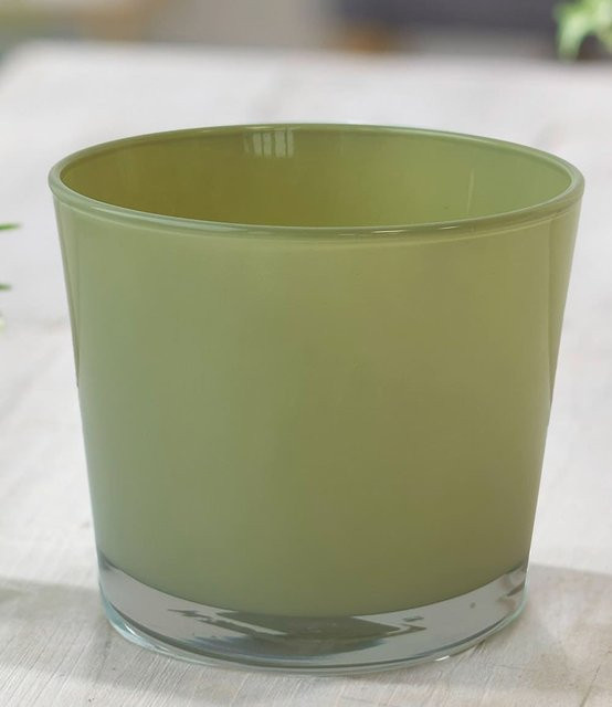 Glas-Übertopf Olive in Grün mit Durchmesser: 14,5 cm - Bild 1