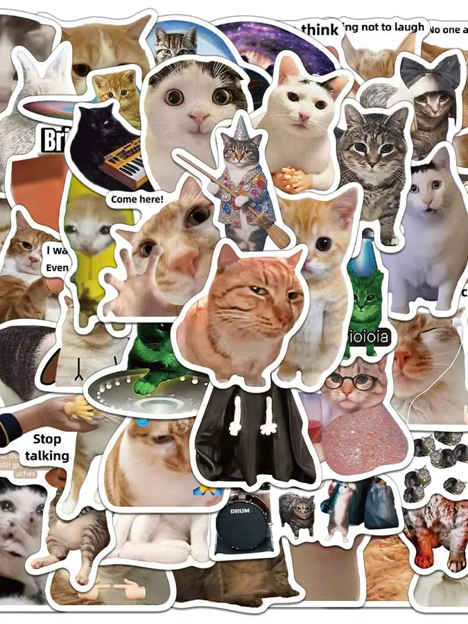 Rspctou Katzen-Meme-Graffiti-Aufkleber, multicolor, 10-teiliges Set - Bild 5