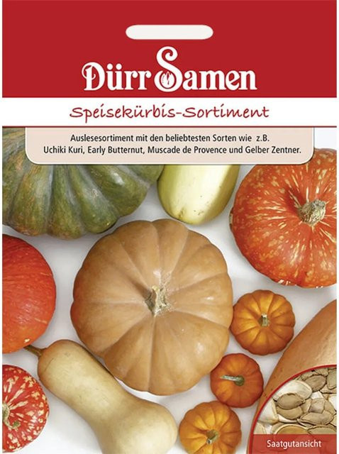 Dürr Samen Speisekürbis-Sortiment Saatgut - Bild 1