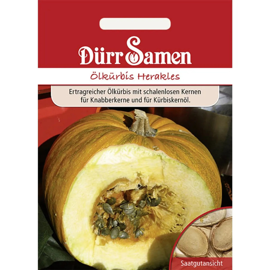Dürr Ölkürbis Herakles Saatgut 155 g - Bild 2