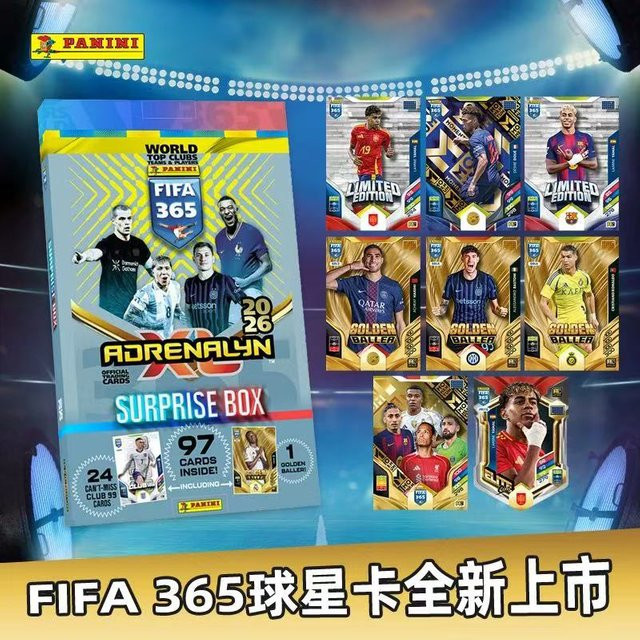 Panini Fußball-Sammelkarten Stift-Aufbewahrungsdose, Mystery-Box, Adventkalender - Bild 1