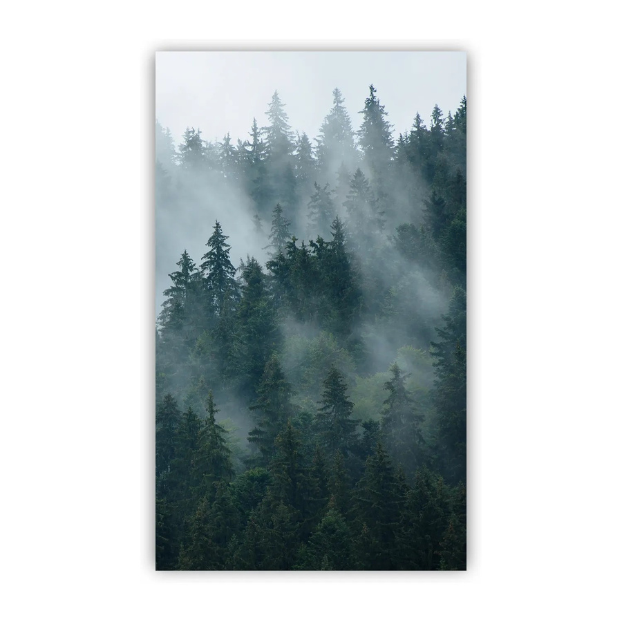 Walllux Duschrückwand Tannenwald in Holzoptik aus Alu-Verbund, Farbe: Grün, B/H: 125 x 210 cm, Stärke: 3 mm - Bild 2