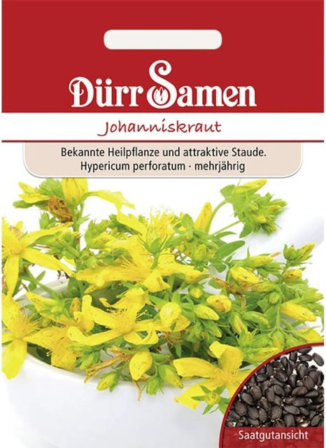 Dürr Johanniskraut Saatgut 155 g - Bild 1