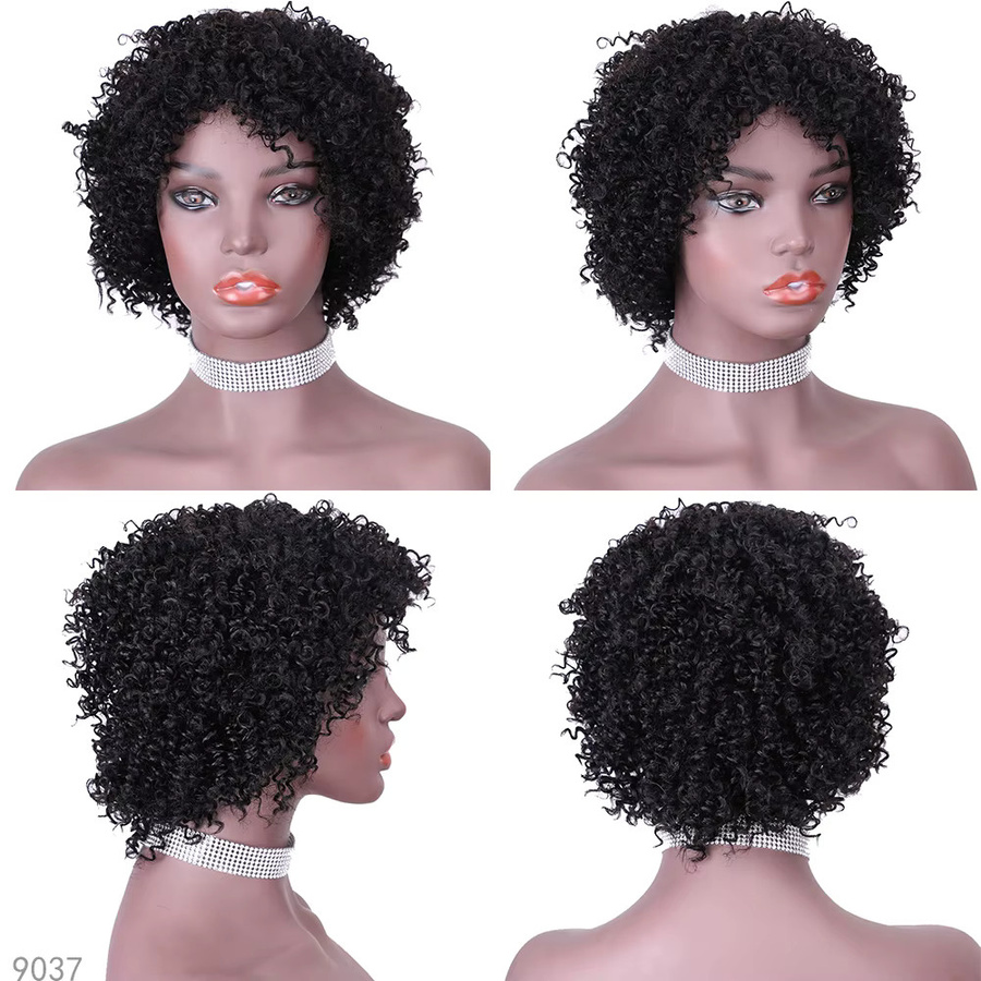 Newmi Perücke, kurze lockige Pixie Cut Afro, Damen, menschliches Haar - Bild 4