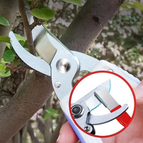 Daydreamer Doppelzweck-Wetzstein Messerschärfstein Set für Outdoor-Werkzeug, Astscheren und Angelhaken, Rot, 3 Stück - Bild 5