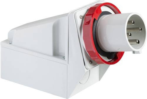 Schneider Electric CEE Wandstecker 125A 415V IP67 Weiß - Bild 1