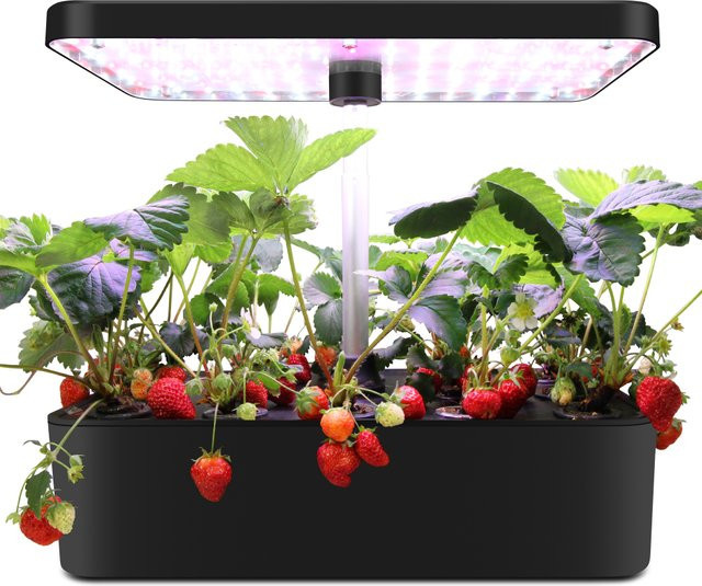 SHENPU Smart Hydroponic Herb Garden Plant Growing System für dein Zuhause - Bild 1