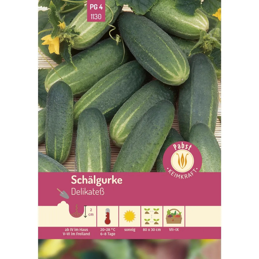 Pabst Keimkraft Schälgurke Früh & Mittellang Delikatesse Saatgut für den Freilandanbau - Bild 2
