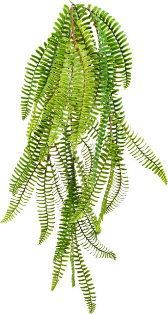 Künstlicher Hänge-Schwertfarn Brian von Aplanta, Grün, Höhe: 60 cm - Bild 1
