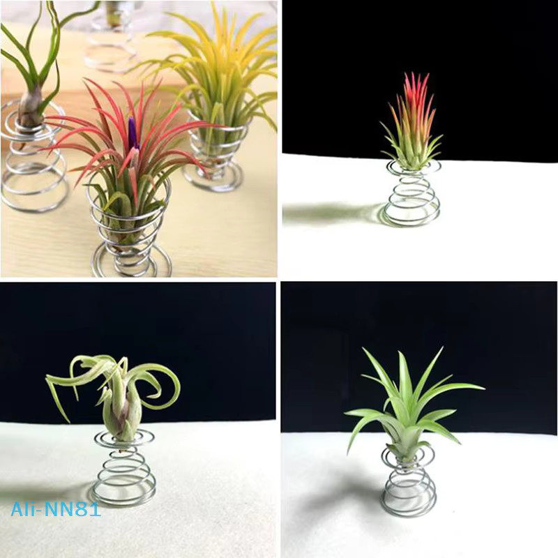 6er Set Blumentopf aus Edelstahl für Air Plants und Tillandsien von SHNGki - Bild 2