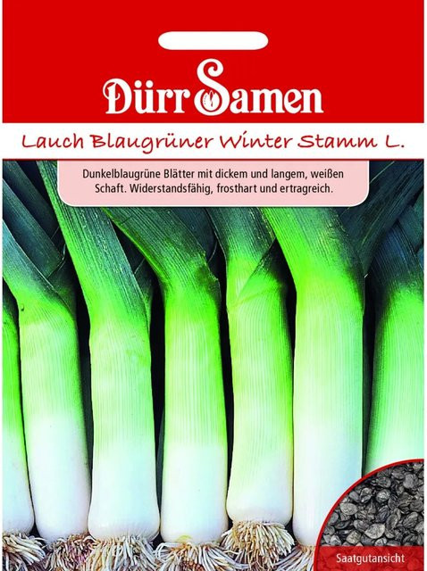 Dürr Samen Lauch Blaugrüner Winter Stamm Saatgut 400 g - Bild 1