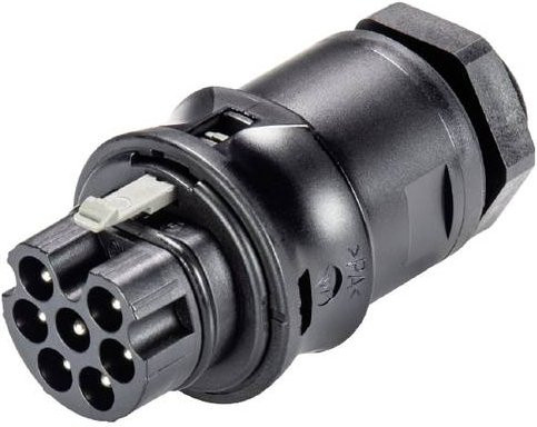 Wieland Electric 96.072.6053.1 Geräteanschluss Steckdose - Bild 1