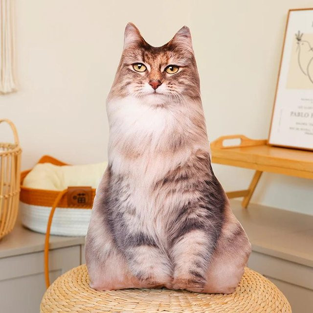 Yiran toy Katzen-Plüschtiere, Kissen, 48cm, Bunt / Mehrfarbig - Bild 1