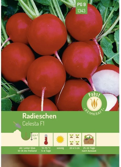 Pabst Keimkraft Radieschen Celesta F1 Saatgut für Freiland und Kübelkultur, 250 g - Bild 1
