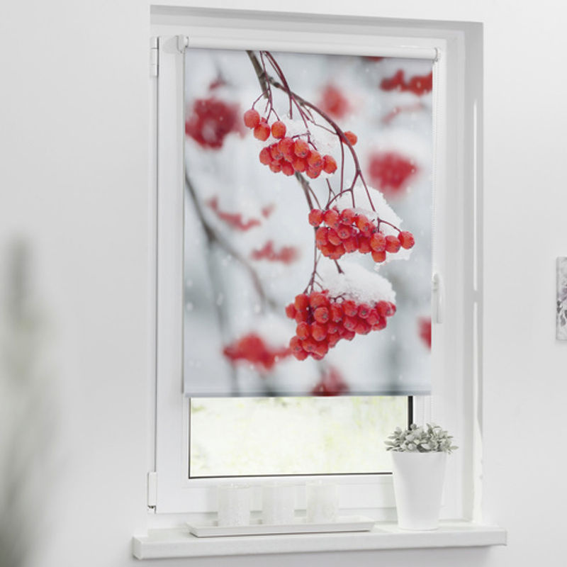 Lichtblick Klemmfix Rollo Vogelbeeren in Rot und Weiß, B: 120 cm, H: 150 cm - Bild 2