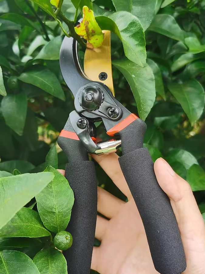 TQLQ Professionelle Astschere für Gartenbau und Obstgarten als vielseitiges Beschneidungswerkzeug - Bild 7