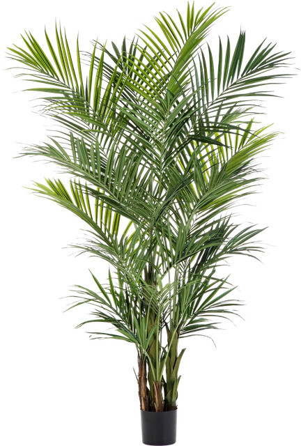 Künstliche Kentia Palme Cecilia von Aplanta, Höhe: 260 cm - Bild 1