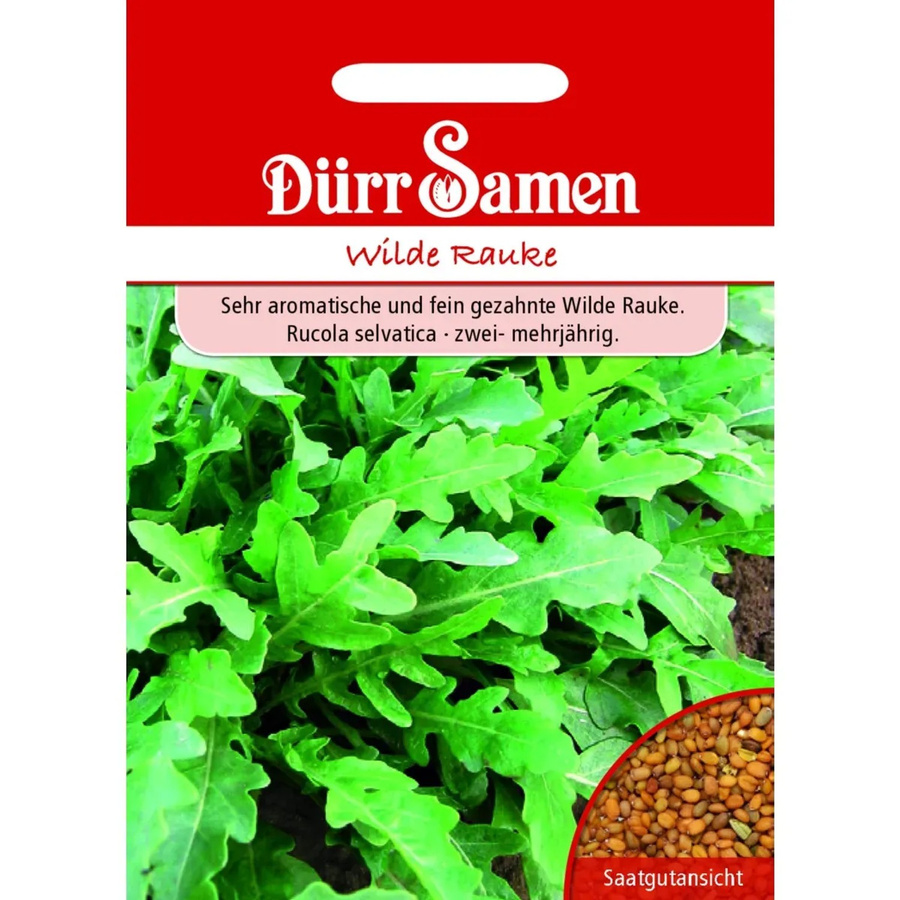 Dürr Wilde Rauke Saatgut 3000 g - Bild 2