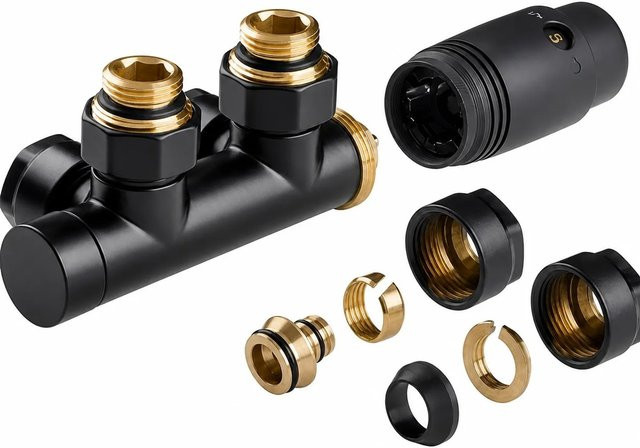 Swiss Aqua Technologies Thermal Trend Thermostatventil Set mit Thermostatkopf in Schwarz und Blau, 3/4 Zoll Anschluss - Bild 1