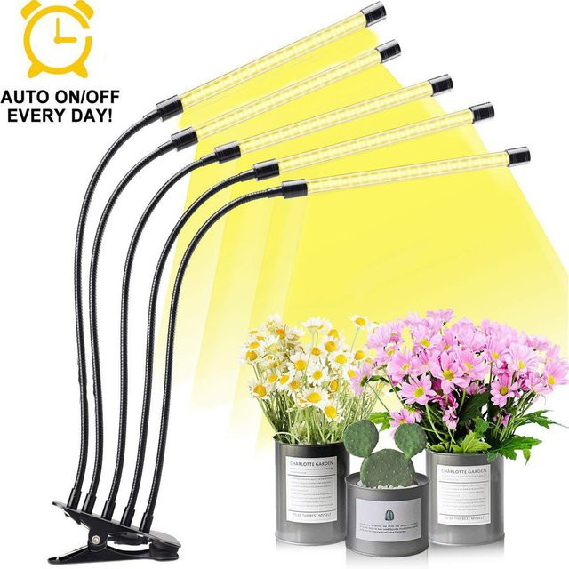 USB-LED-Pflanzenwachstumslampe in Schwarz mit warmweißem Vollspektrum für Hydrokultur und Innenbereich - Bild 1