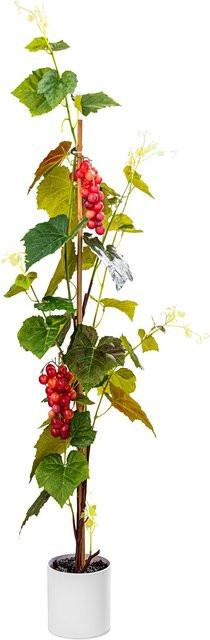 Viva Domo Kunstbaum Rebstock in herbstlichen Farben Green, Red und Multicolour als Tabletop-Dekoration - Bild 1