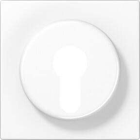 Jung Abdeckung für Schlüsselschalter LS 928 in Weiß mit IP44 Schutzart - Bild 1