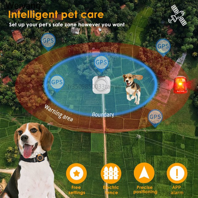 NUOYING Smartes GPS-Halsband für Hund und Katze mit 4G-Netzwerk und IPX6 Wasserdichtigkeit in Weiß - Bild 1