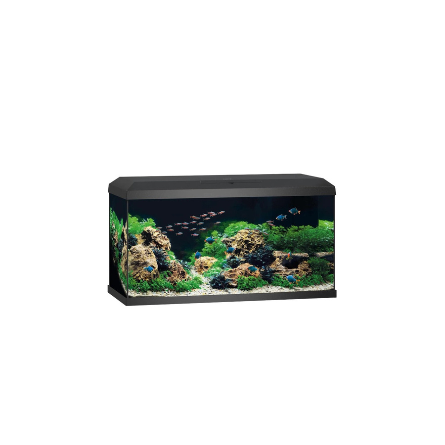Juwel Aquarium-Set Primo 110 in Schwarz - Bild 2