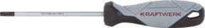 Kraftwerk BASIC LINE Schraubendreher TX T27 x 100 mm in Grau - Bild 1