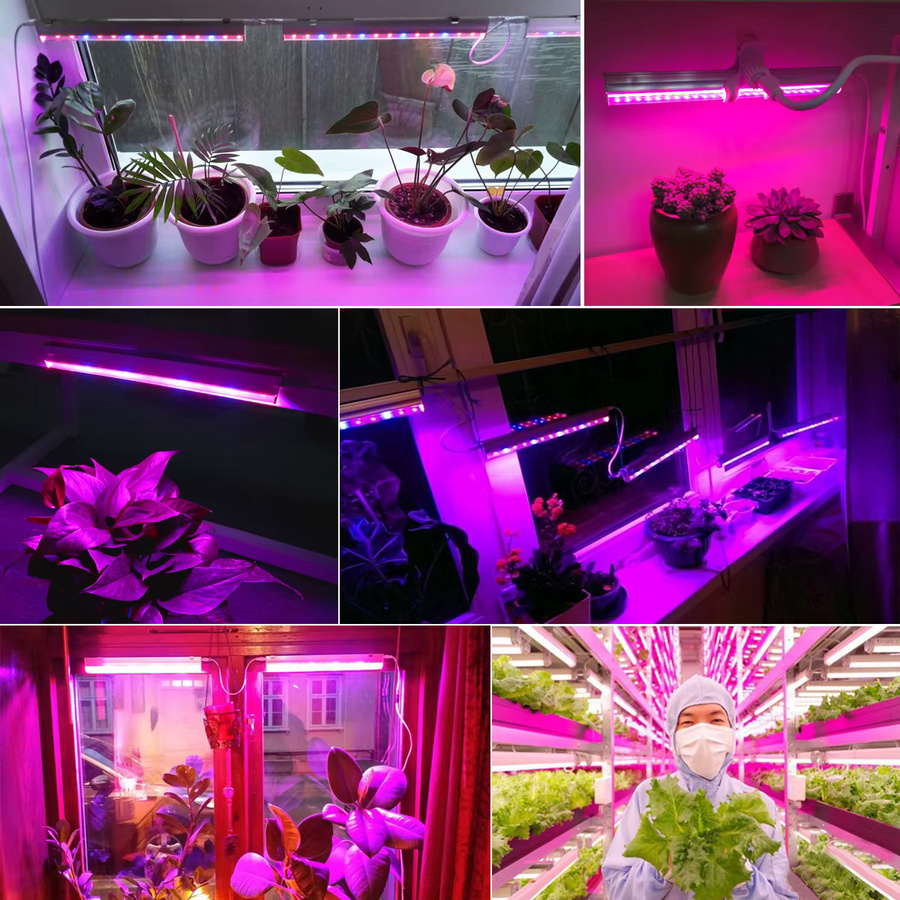 AIMENGTE LED-Pflanzenwachstumsleuchte Vollspektrum Phyto-Lampe für Indoor-Pflanzen und Hydroponik in Weiß - Bild 4